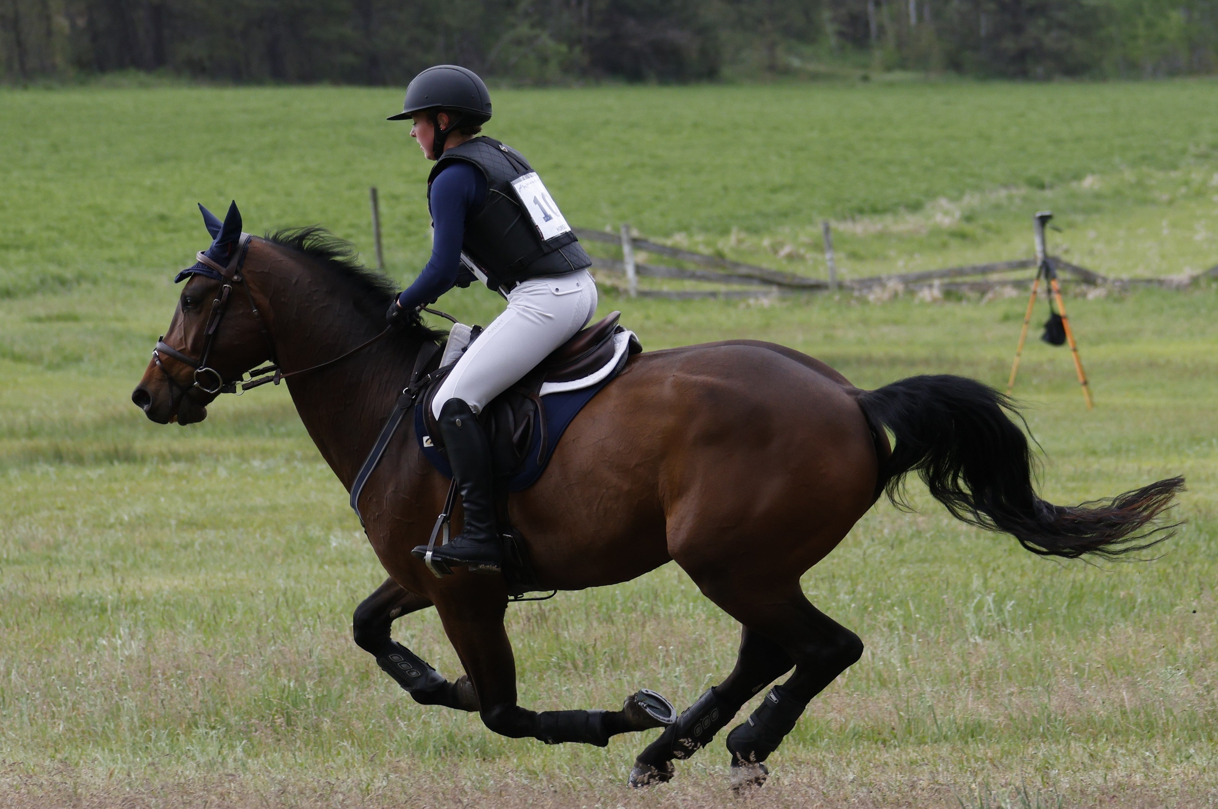 Eventing Supplies