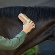 View of a female model brushing a horse with the Hey Athlete - TKEQ x SPR Natural Dandy Brush