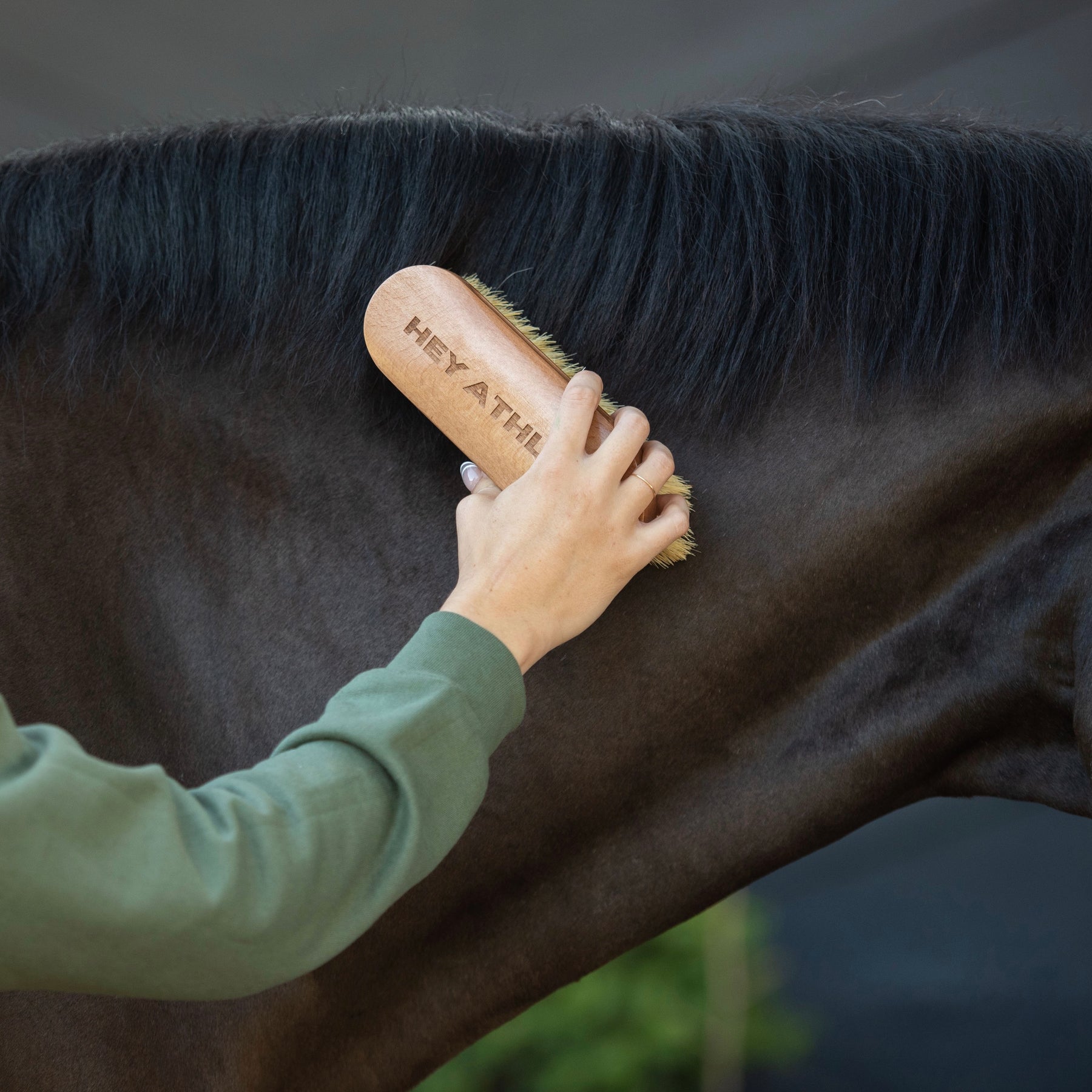 View of a female model brushing a horse with the Hey Athlete - TKEQ x SPR Natural Dandy Brush