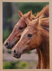 Two horse's red faces shown zoomed in on green background