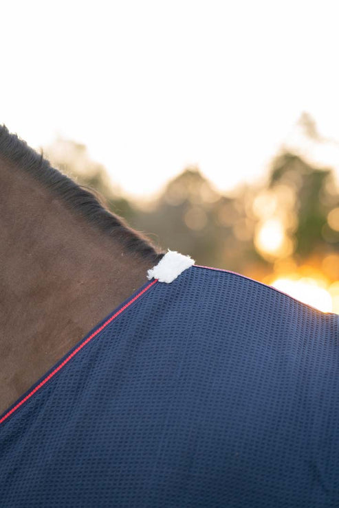 Close-up view of the fleece on the withers of the Navy TuffRider Waffle Weave Cotton Stable Sheet as worn by a horse outside