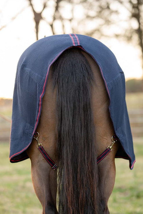 Back view of a horse wearing the Navy TuffRider Waffle Weave Cotton Stable Sheet while standing outside