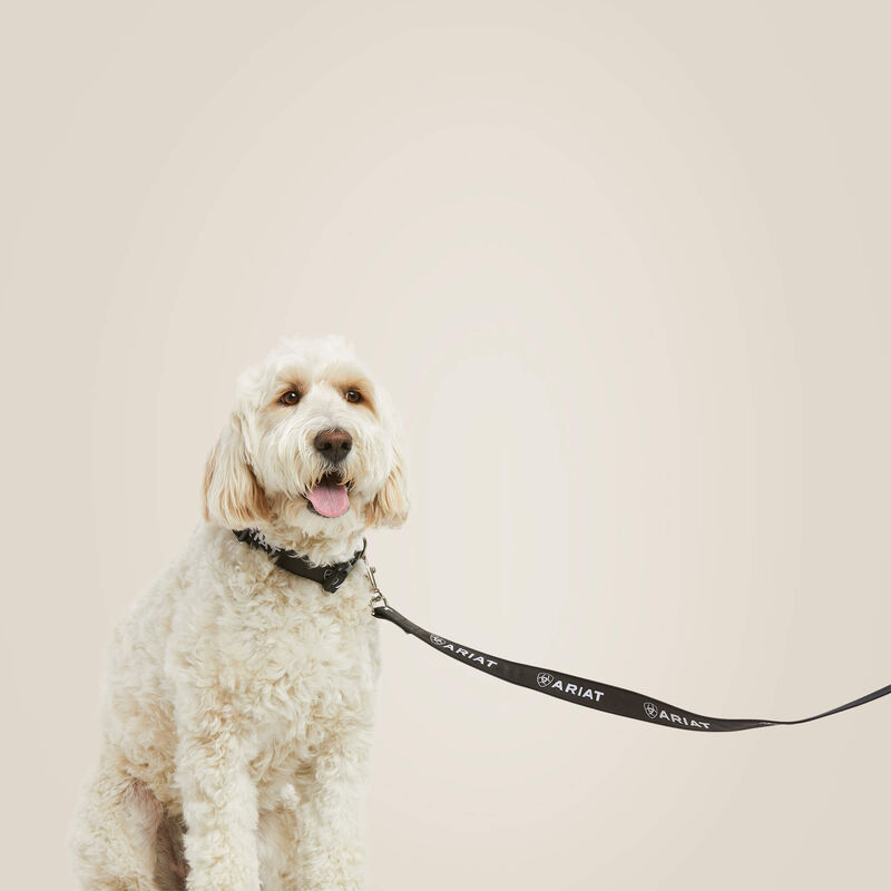 Rebar Gray Ariat Dog Leash on a plain background