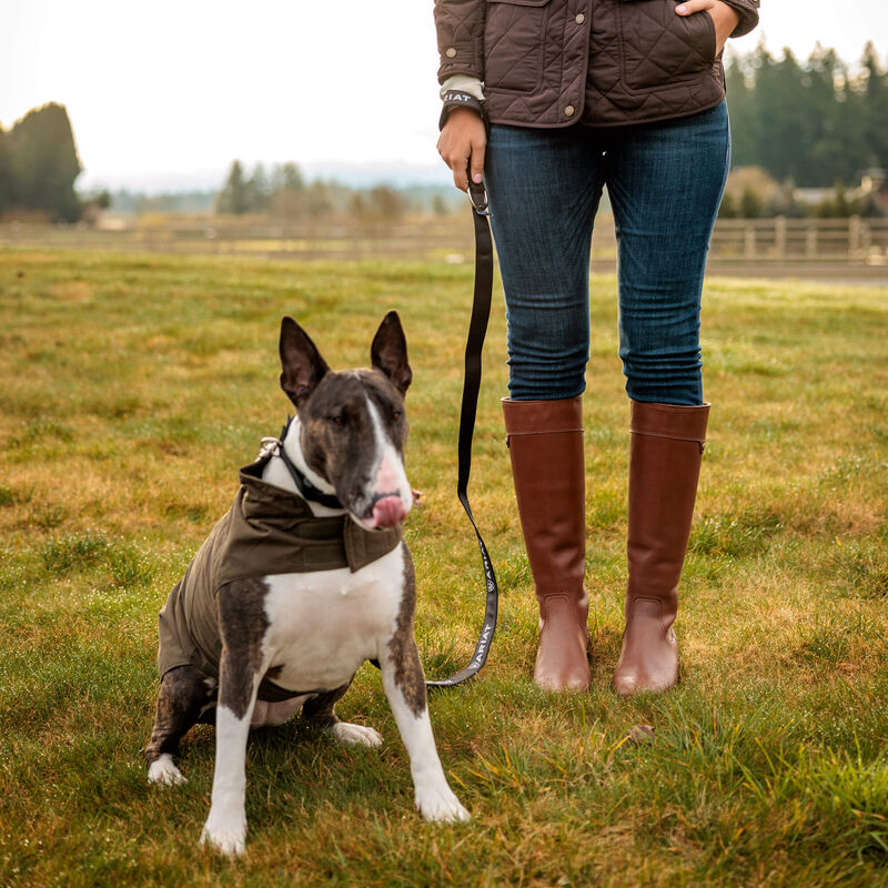 Front view of a female model  holding an Ariat Dog Leash while standing beside a dog outdoors