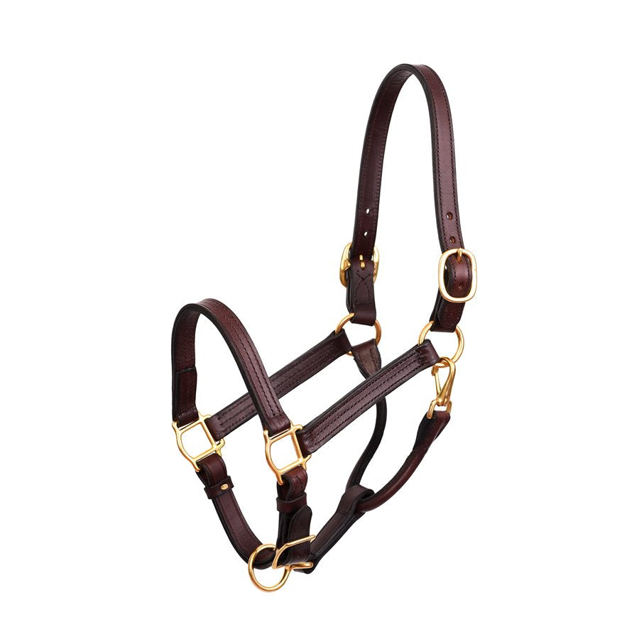 Angled side view of the Perri's 1" Show Halter in Havana on a white background