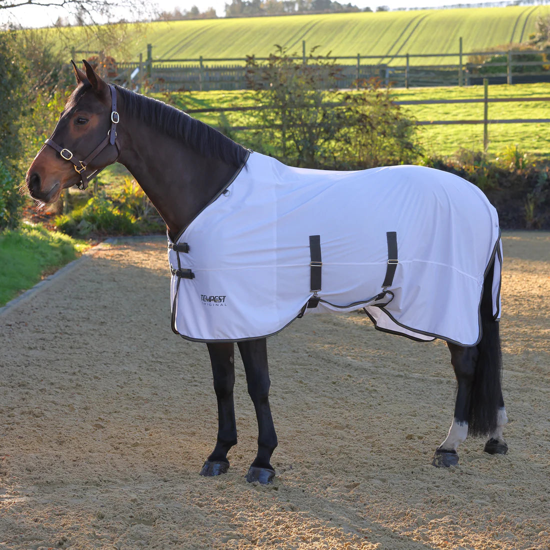 Side view of dark colored horse standing outside in an arena wearing the Shires Tempest Original Standard Neck Fly Sheet in white