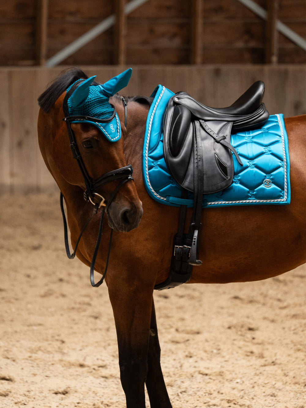 Side view a bay horse wearing the Evening Teal PS of Sweden Signature Dressage Pad while standing in an indoor arena