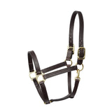 Perri's Track Turnout Halter