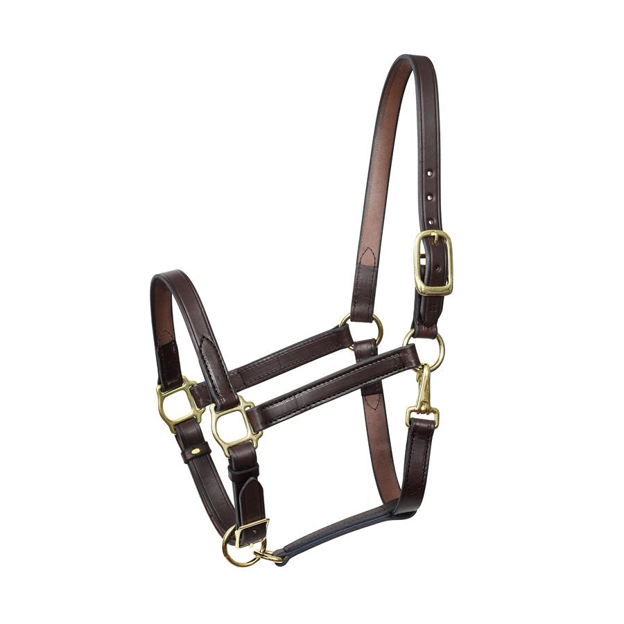 Side view of the Havana Perri's Economy Leather Halter on a white background
