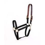 Perri’s Economy Safety Halter in black with brown leather crown piece and brass hardware