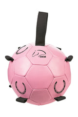 HKM Fun Ball Horse Toy