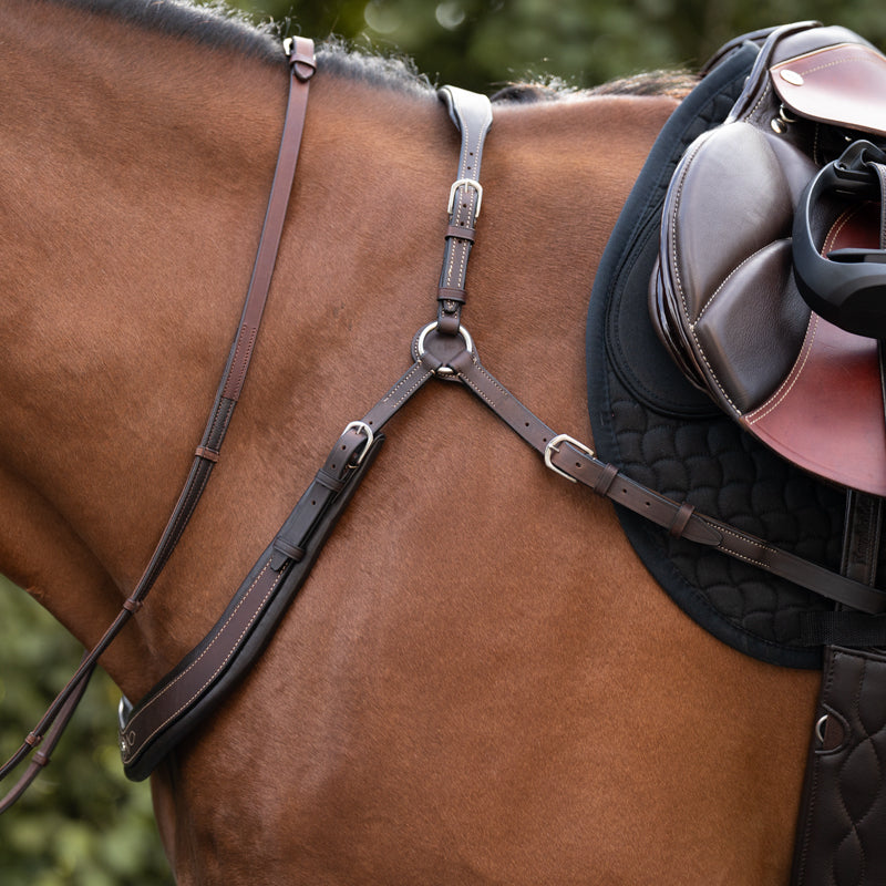 Side view of a horse wearing the Brown Kavalkade Jerome Breastplate while standing outside
