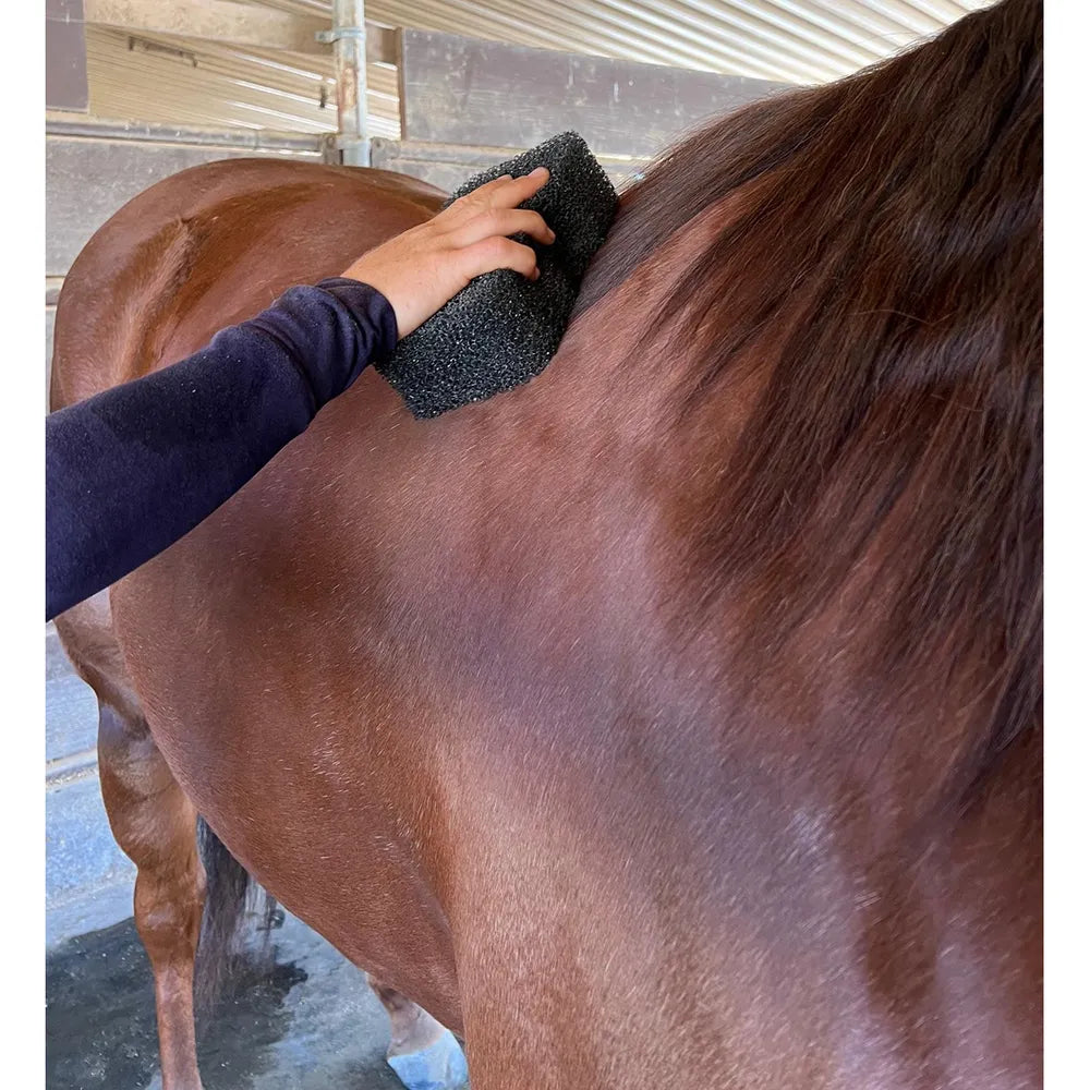 View of someone using the Epona Tiger's Tongue Horse Groomer to groom a sorrel horse's withers