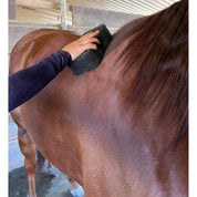 View of someone using the Epona Tiger's Tongue Horse Groomer to groom a sorrel horse's withers