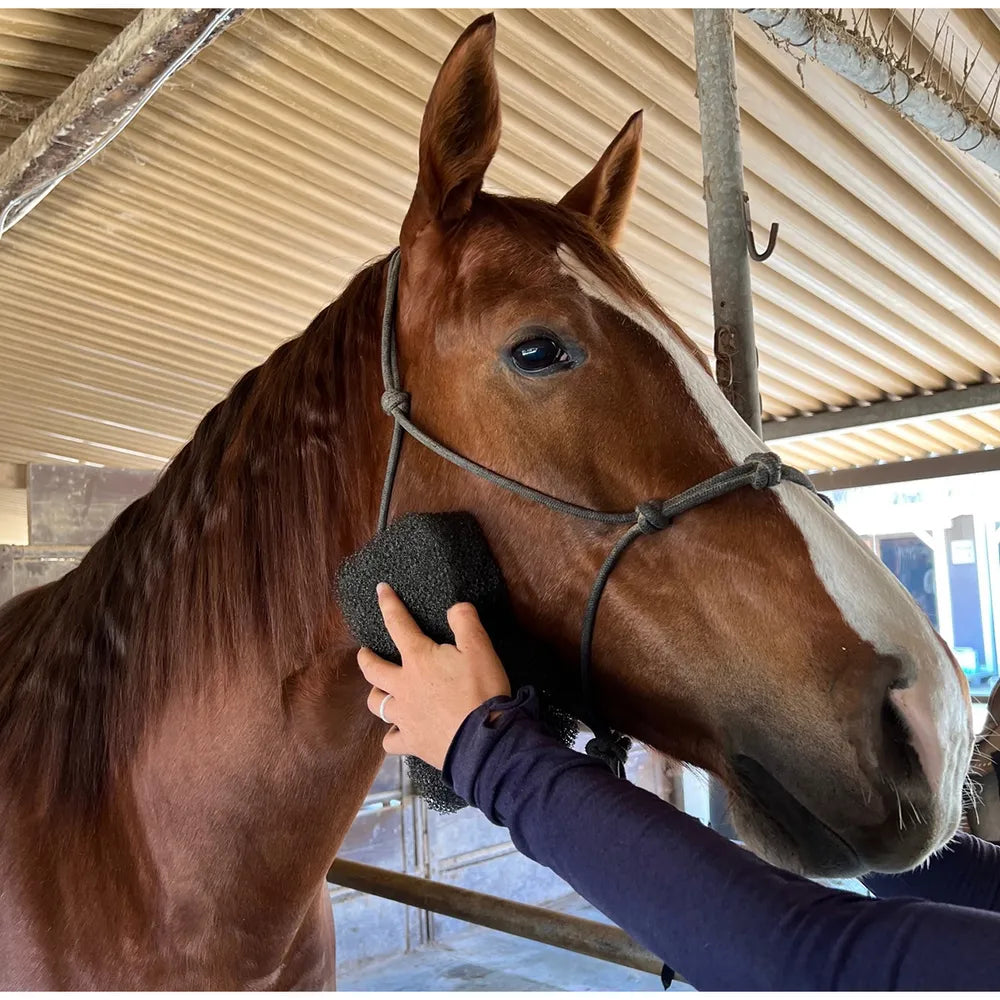 View of someone using the Epona Tiger's Tongue Horse Groomer to groom a sorrel horse's face