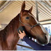 View of someone using the Epona Tiger's Tongue Horse Groomer to groom a sorrel horse's face