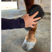 View of someone using the Epona Tiger's Tongue Horse Groomer to groom a sorrel horse's leg