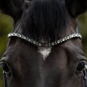 Front view of a horse wearing the Kavalkade Blaze Browband while standing outside