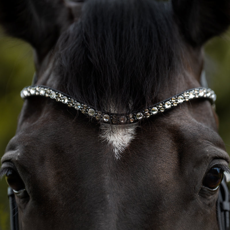 Front view of a horse wearing the Kavalkade Blaze Browband while standing outside