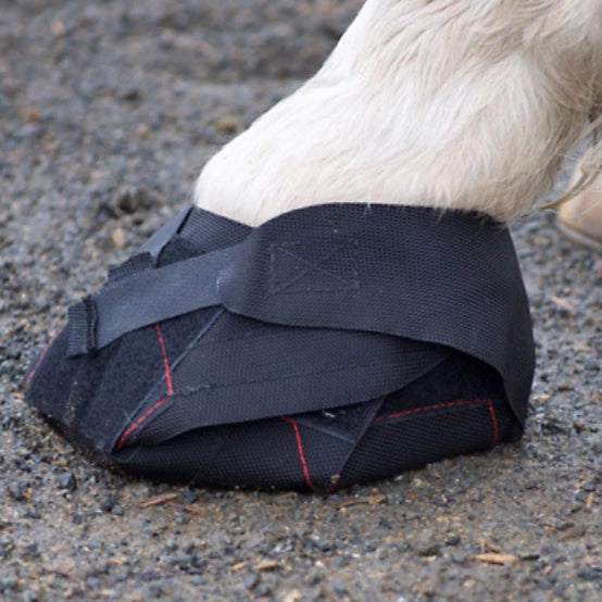 View of the Hoof Wraps Equine Hoof Bandage on a horse's hoof while standing on a gravel path