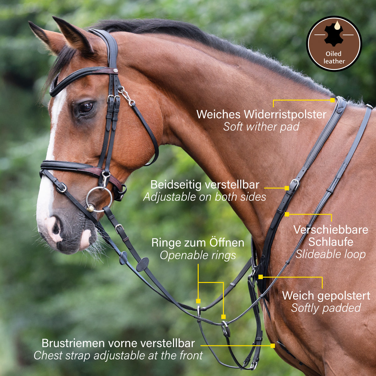 Infographic showing a side view of a horse wearing the Black Kavalkade Azriel Padded Martingale with features labeled