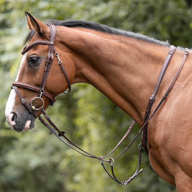 Side view of a bay horse wearing the Brown Kavalkade Azriel Padded Martingale while standing outside