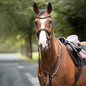 Front view of a bay horse wearing the Brown Kavalkade Azriel Padded Martingale while standing outside