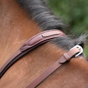 Close-up view of the Kavalkade name on the Brown Kavalkade Azriel Padded Martingale as worn by a bay horse