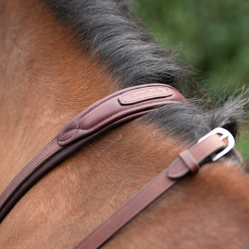 Close-up view of the Kavalkade name on the Brown Kavalkade Azriel Padded Martingale as worn by a bay horse