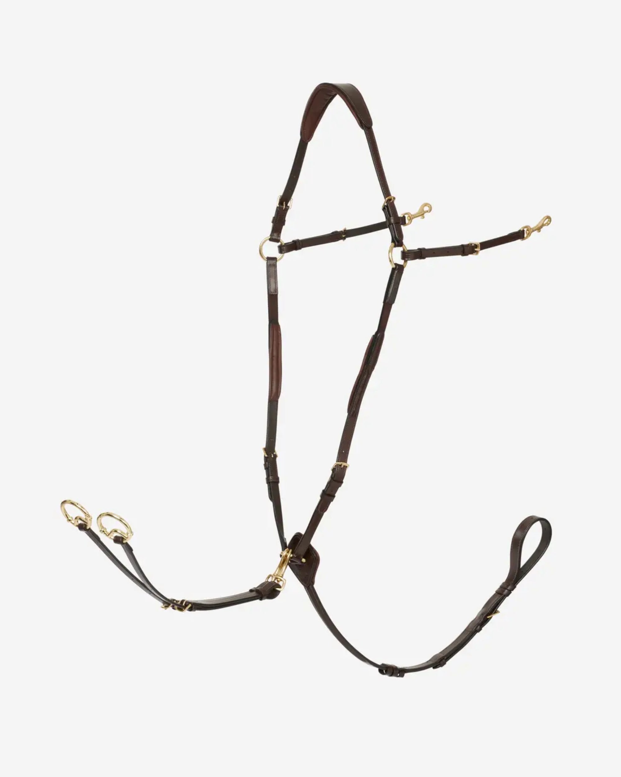 Brass LeMieux D-Ring Attachment Breastplate on a plain background
