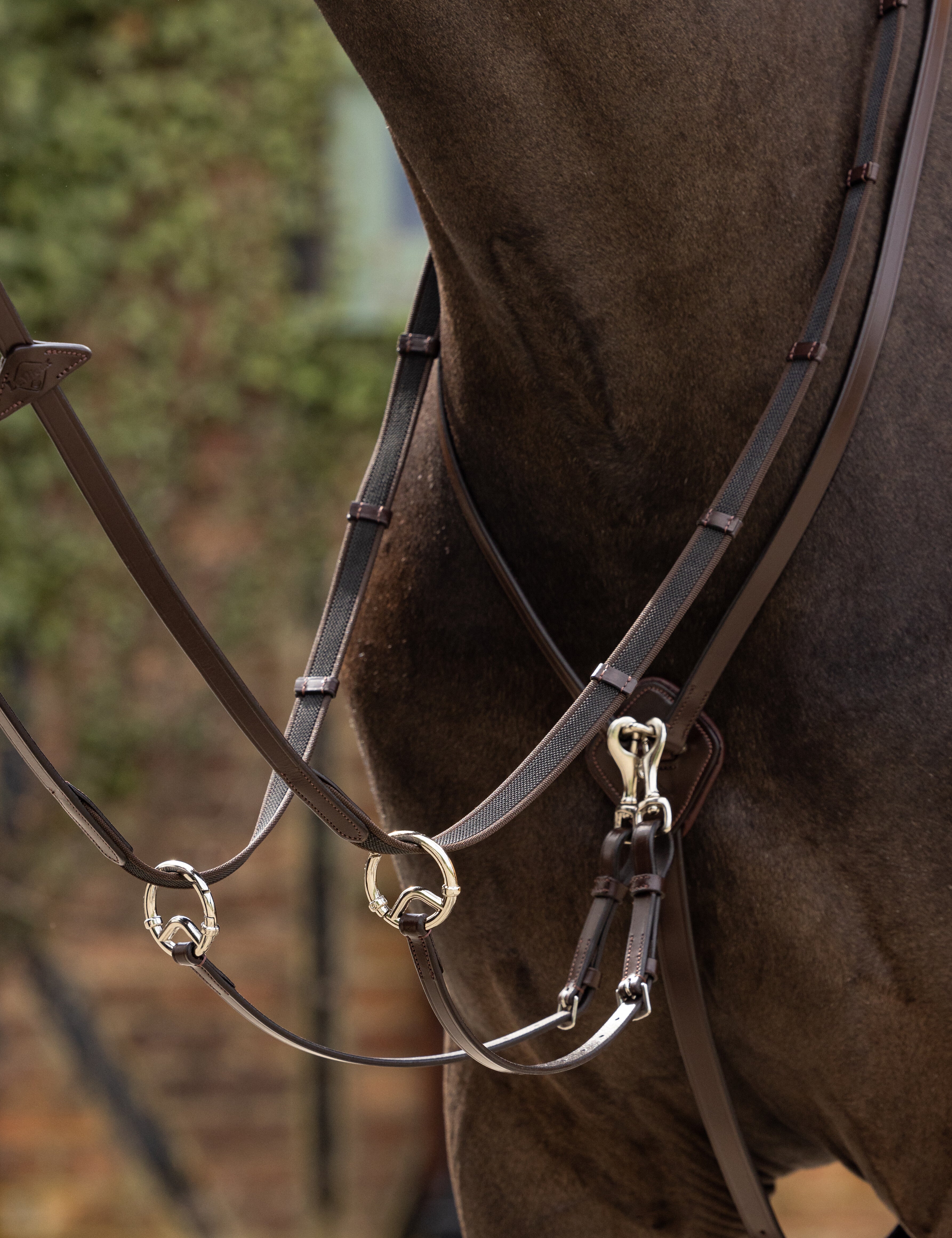 Silver LeMieux Kudos Running Martingale while standing outside