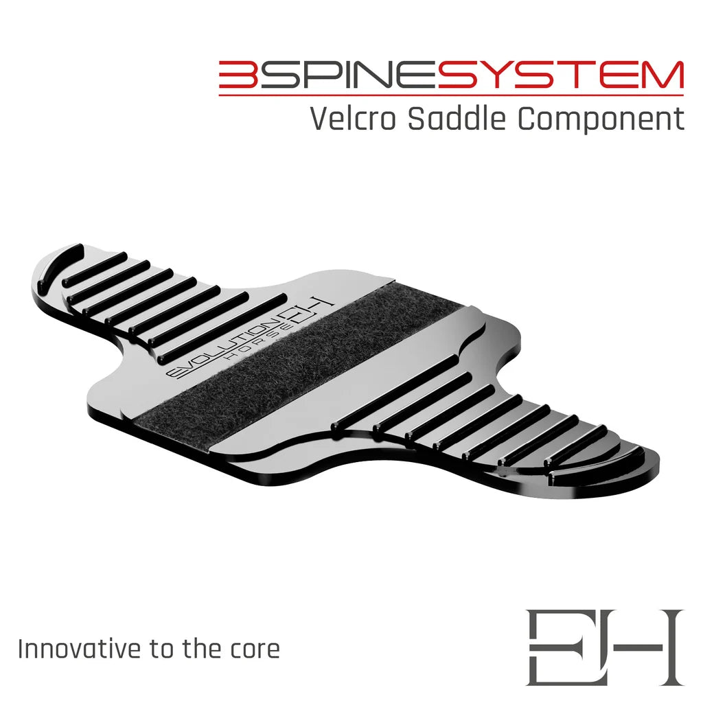 Infographic view of the Stubben & Evolution Horse Velcro Saddle Component on a white background