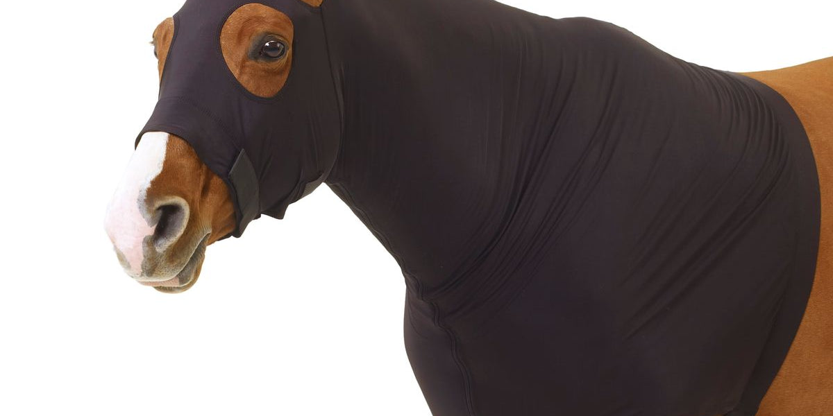 Brown horse wearing the Centaur Spandex Zip Hood in Black
