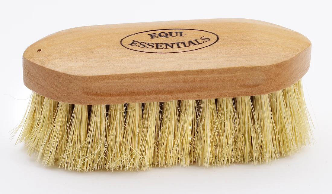 Full view of the Equi-Essentials Wood Back Dandy Brush with Tampico Bristles on a white background