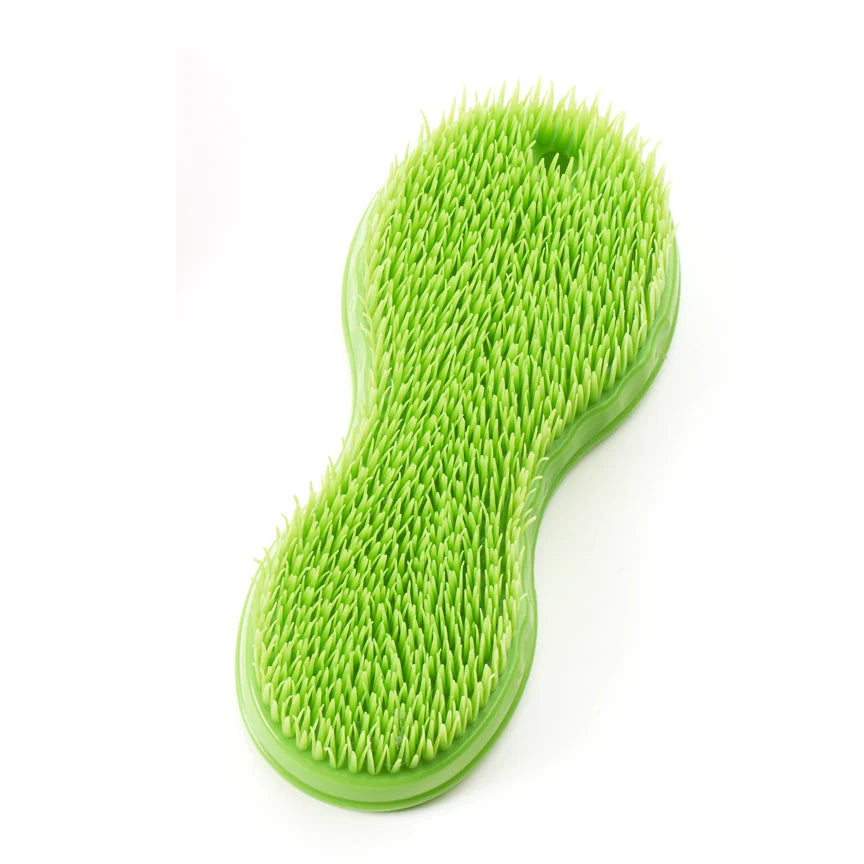 View of the Apple Equi-Essentials Original Wonder Brush on a white background
