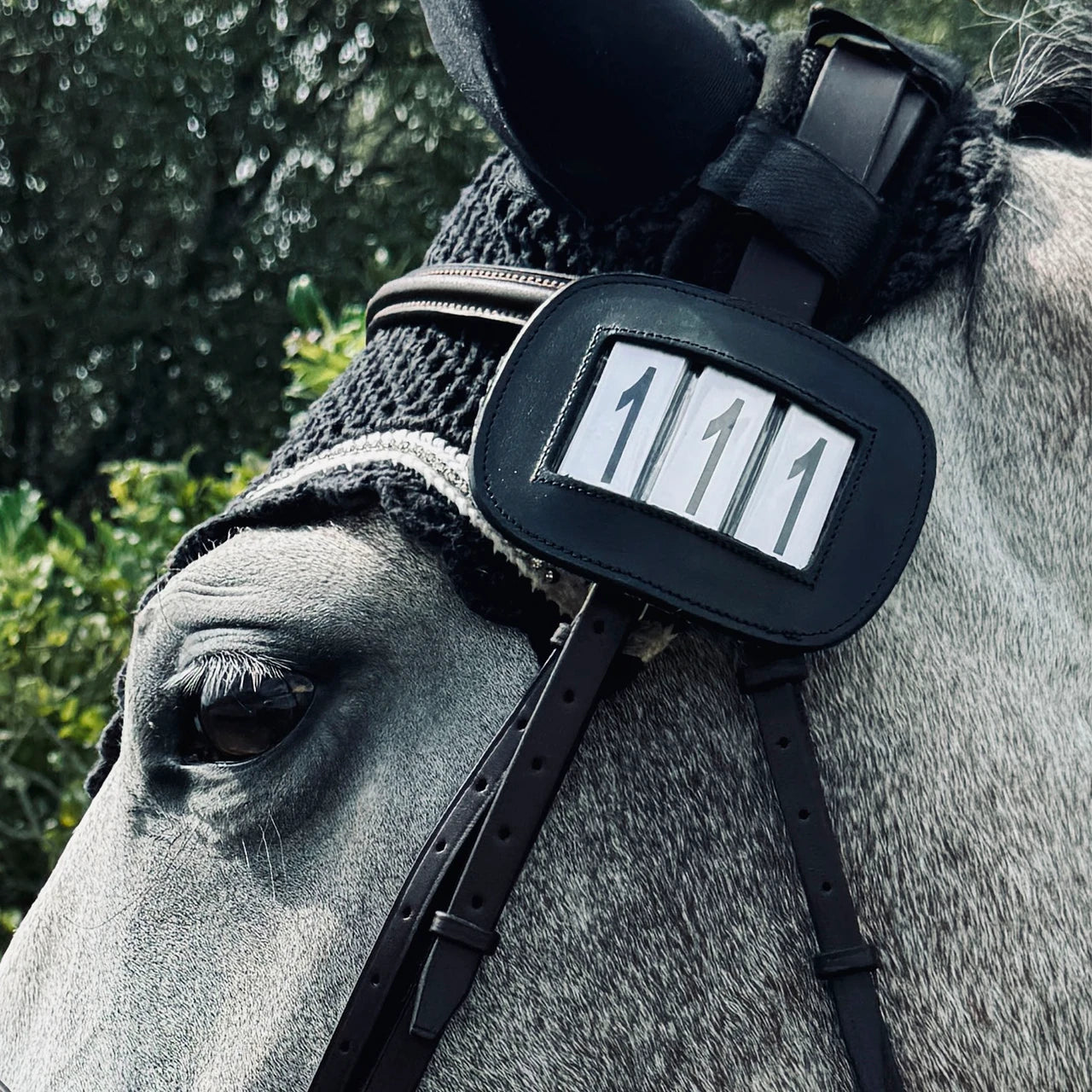 View of the Pro4mance 3 Digit Number ID attached to the bridle on a gray horse