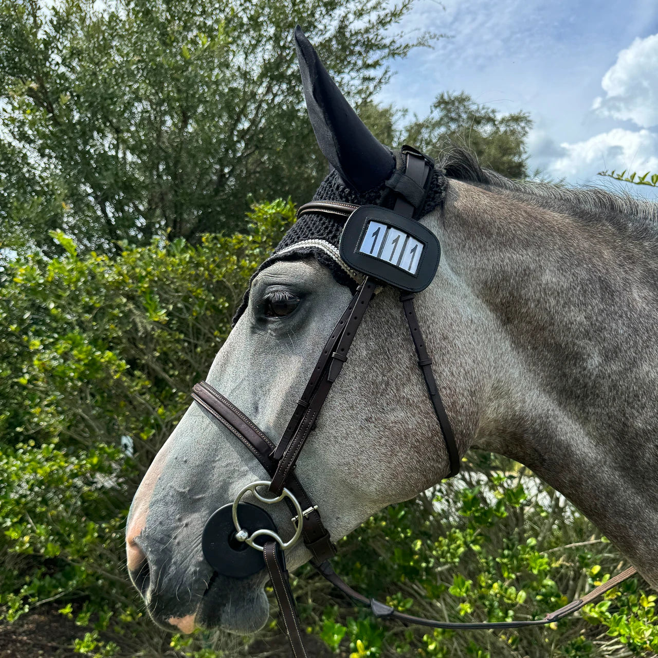 View of the Pro4mance 3 Digit Number ID attached to the bridle on a gray horse while standing outside