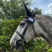 View of the Pro4mance 3 Digit Number ID attached to the bridle on a gray horse while standing outside