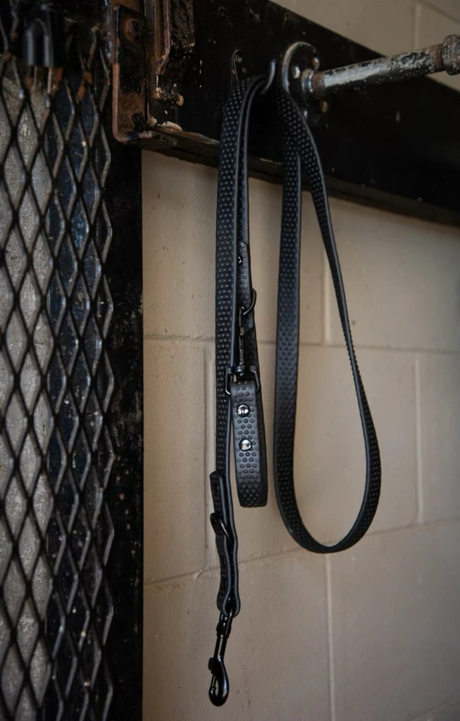 View of the Black PRO4MANCE Com4rt Grip Dog Leash hanging on a wall in a barn
