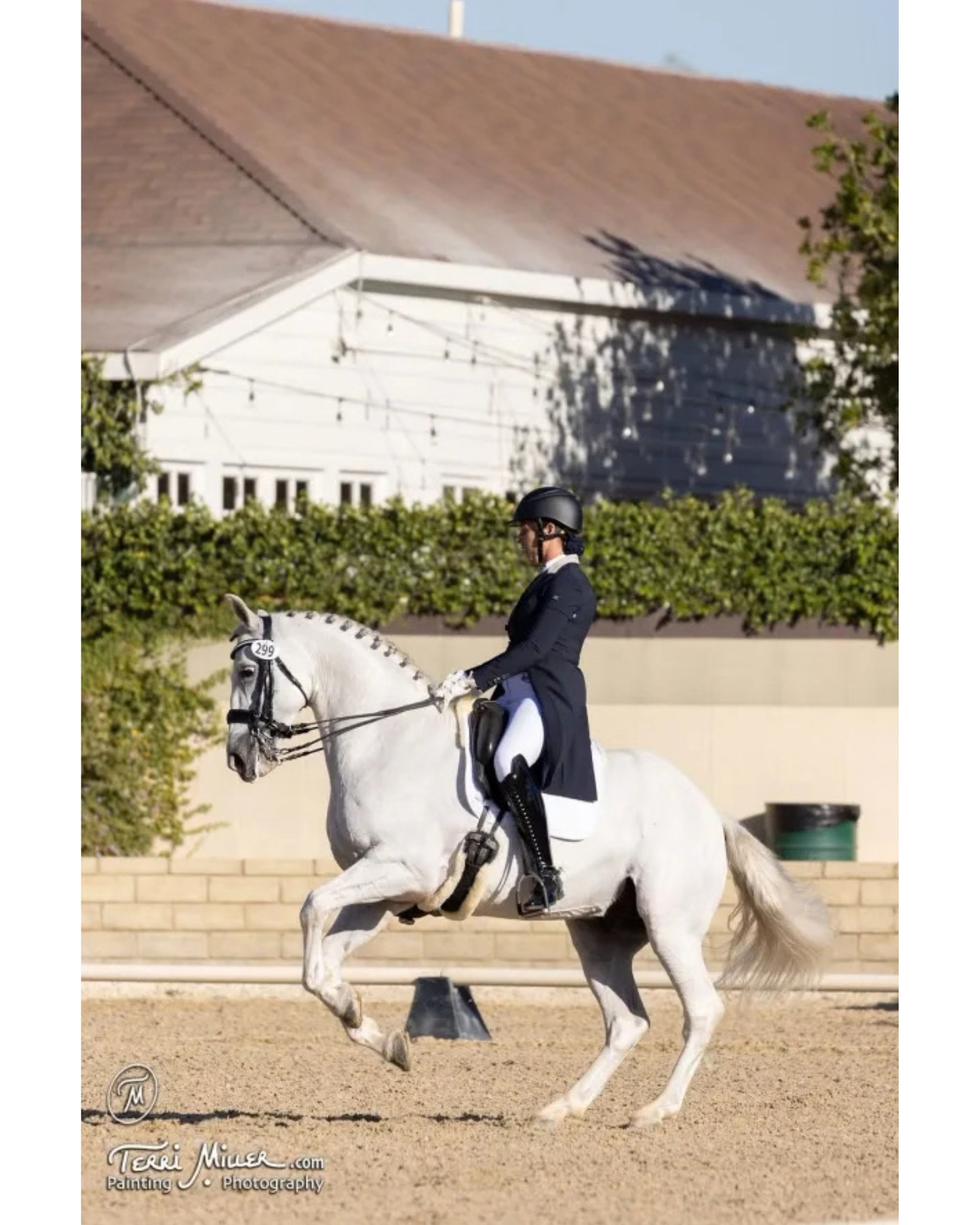 View of a model riding a white horse that is wearing the NSC Natural Sheepskin Moon Dressage Girth in an outdoor arena