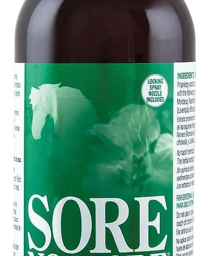 Front view of a 16 oz bottle of Sore No-More Liniment Spray on a white background