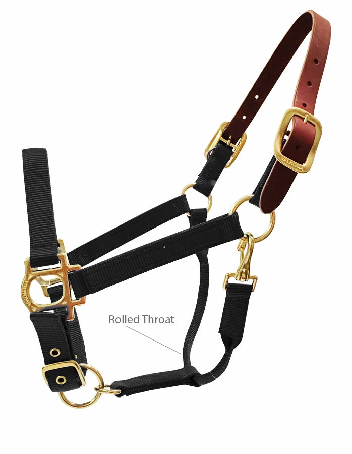 Side view of the Black Valhoma Breakaway Halter on a white background