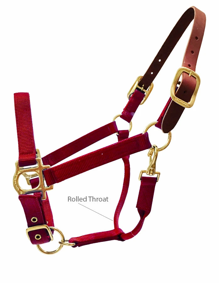 Side view of a Red Valhoma Breakaway Halter on a white background