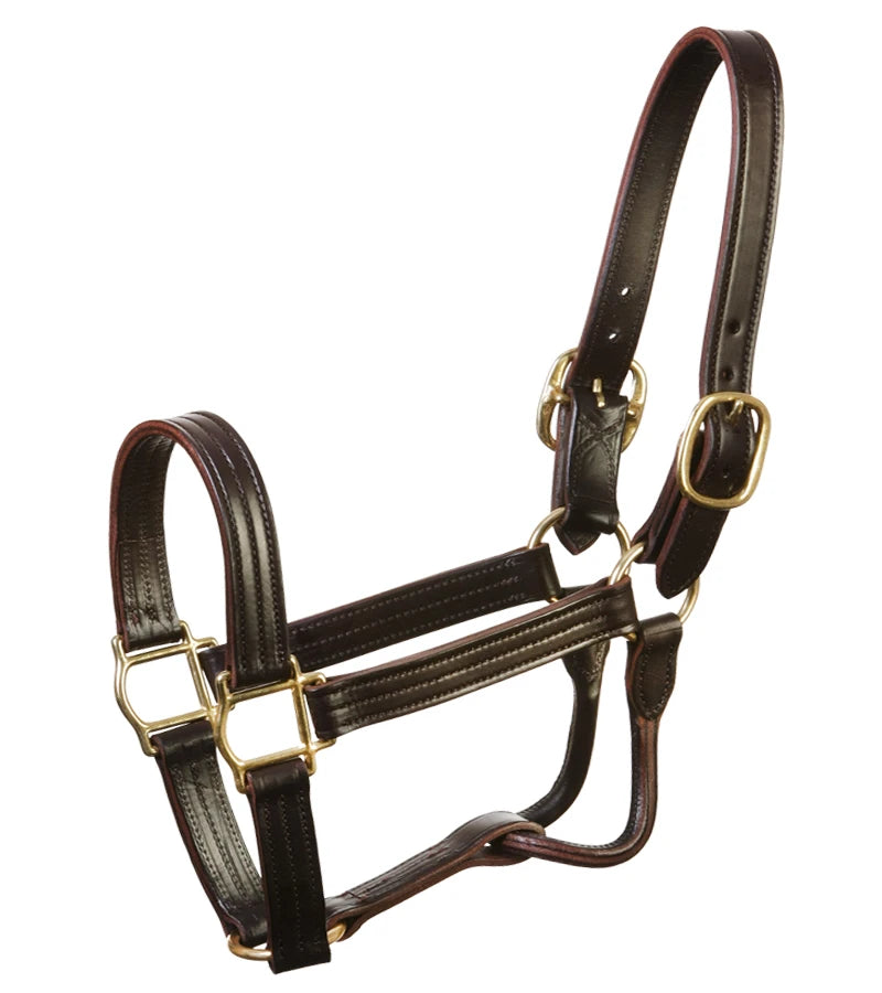 8" Track Halter on a white background