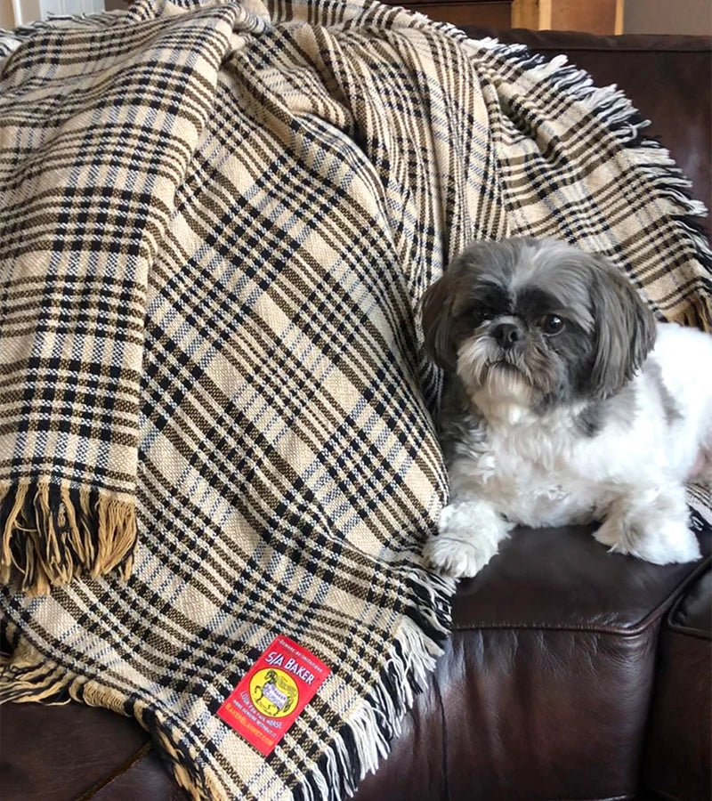 A Baker Cotton Plaid Throw Blanket on a couch with a black and white shitzu next to it