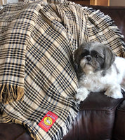 View of the 5/A Baker Cotton Plaid Throw Blanket on a couch with a black and white shitzu next to it