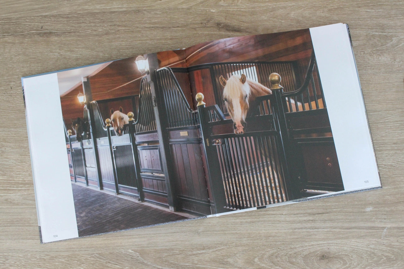 Preview of pages 104 and 105 from the Stable Style Book-Volume II