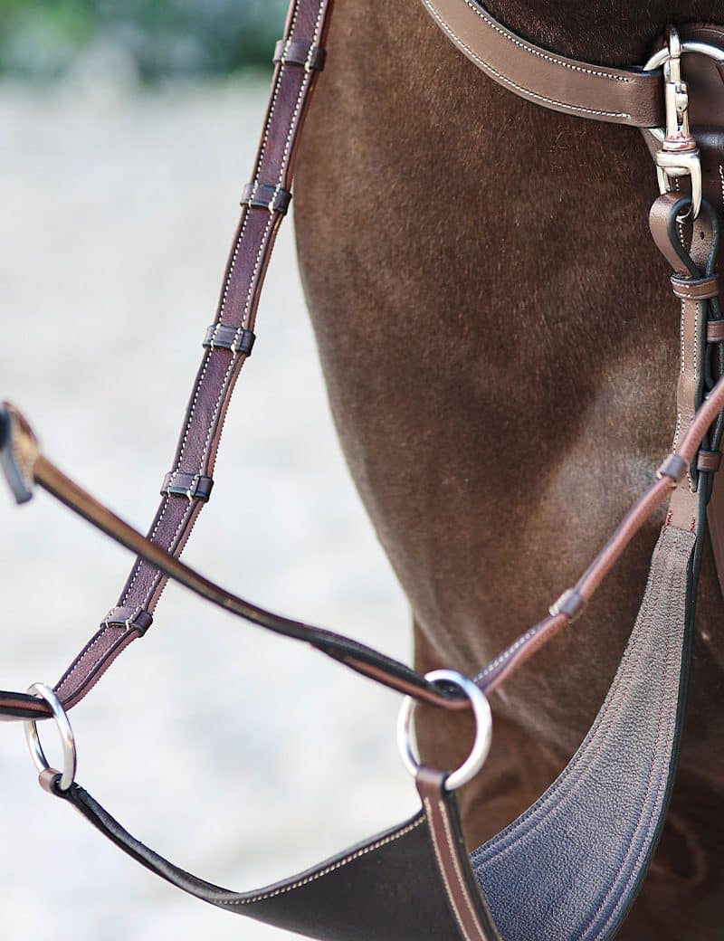 BIB-martingale-pleine-arion-hst-2-800x1200.jpg