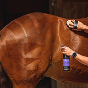 View of a model applying Carr & Day & Martin Dream Coat to a bay horse