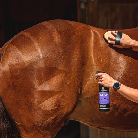 View of a model applying Carr & Day & Martin Dream Coat to a bay horse
